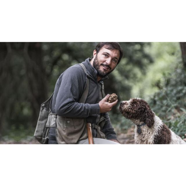 Tuscany: Truffle Hunting and Meal at a Winery - The San Gimignano Stop, and How to Plan Around It