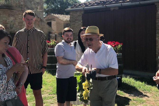 Tuscany Wine & Hills from Florence - Small Group - Key Things You’ll Notice on This Florence to Tuscany Day Trip