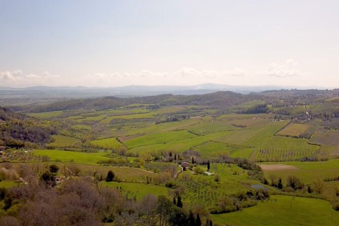 Tuscany Wine & Hills from Florence - Small Group - Food, Wine, and Purchases: How the Day Feels in Your Hands