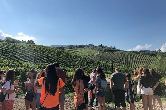 Tuscany Wine Tastings with Panoramic View - Florence to Chianti - The Wine and Food Pairings, Why They Matter