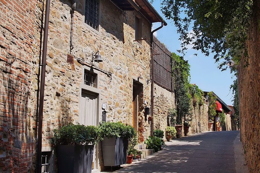 Vinci: The Footsteps of Leonardo and Wine Tasting Tour - What to budget for: entrance fees, lunch, and drinks