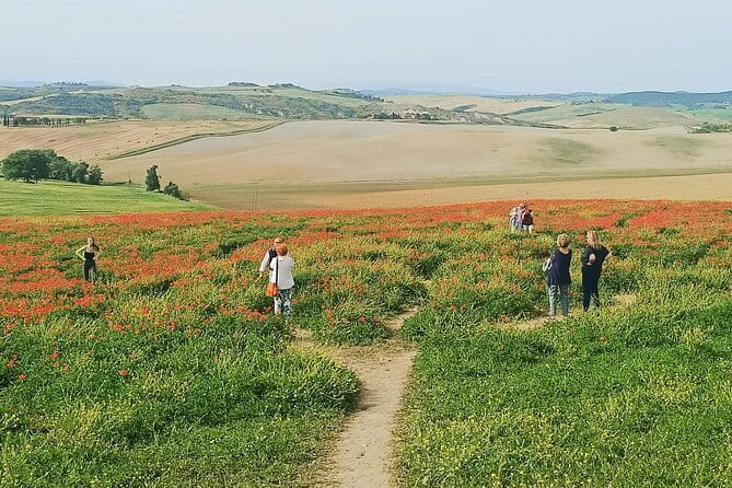 VIP Brunello Montalcino, Montepulciano & Val d'Orcia with Lunch - Chianti hills and Monteriggioni: the scenic warm-up