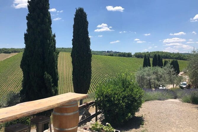 Visit Of The Chianti Classico And The Tuscan Countryside - Key highlights worth planning for