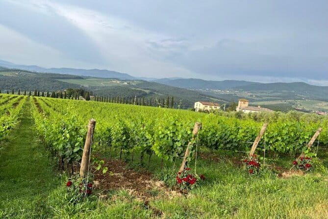 Visit Of The Chianti Classico And The Tuscan Countryside - San Casciano in Val di Pesa: optional winery time before you dive into town stops