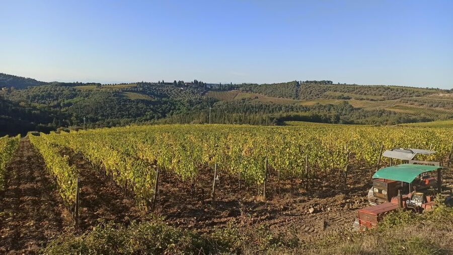 Visit Siena and San Gimignano with lunch at a family farm - Tips that make the day easier (and more enjoyable)