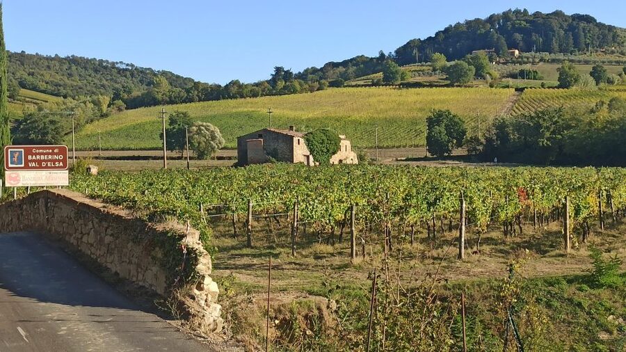 Visit Siena and San Gimignano with lunch at a family farm - Should you book this Siena and San Gimignano farm lunch tour?