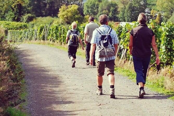 Wine Hiking Sip & Trek - Key things to know before you go