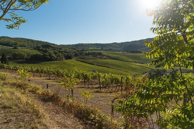 Wine Hiking Sip & Trek - The 7-hour hike: a full day that stays manageable