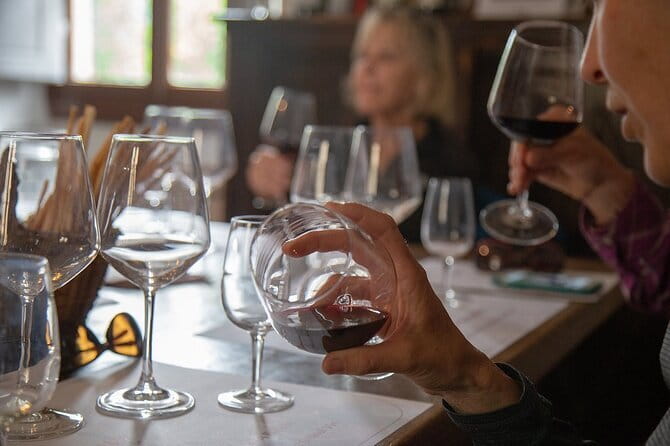 Wine Tasting Activity at Chianti Rufina - Garden Views and a Quick History Lesson You Can Actually Use