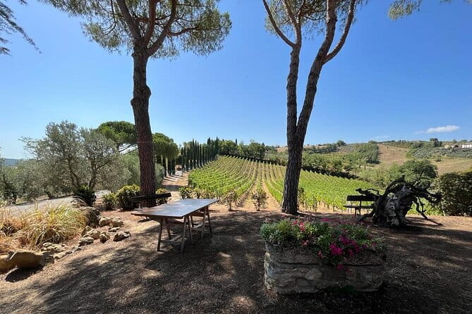 Wine Tasting and History Guided Day Tour in Chianti - A private Chianti day that starts in Piazza della Repubblica