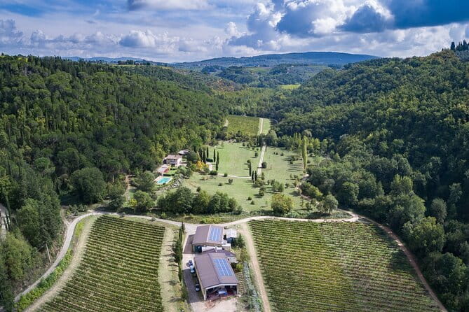 Wine Tasting by CarusVini in San Casciano in val di Pesa - San Casciano in Val di Pesa, and why this winery stop works
