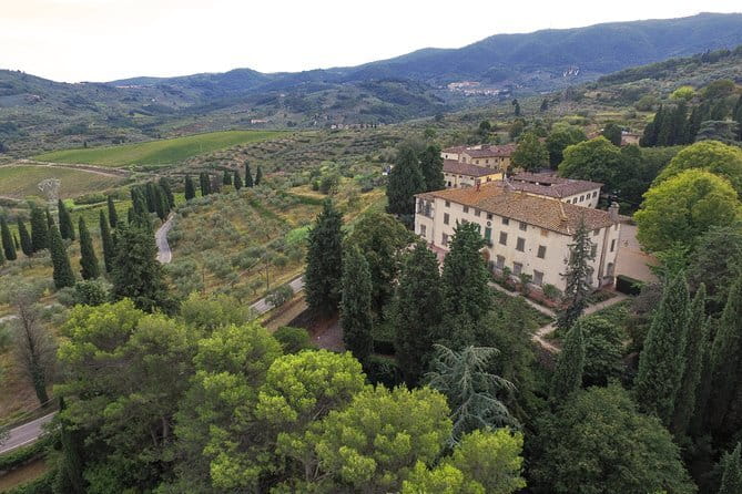 Wine Tour Experience - Historical Cellar and the Vinsantaia: How You Learn What You Taste