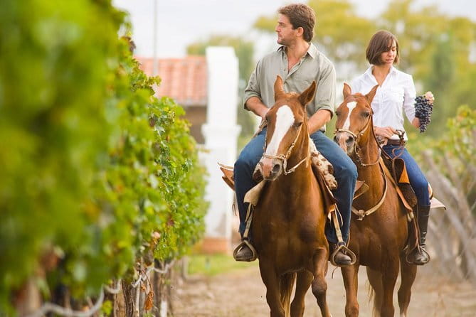Wine Tour Experience - Price and Logistics: Does $53.61 Feel Like Value?