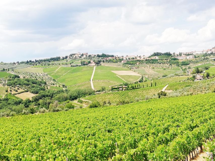 Wine Tour in Open Top Van - Greve in Chianti Break: Shopping, Gelato, and a Real-Time Pause