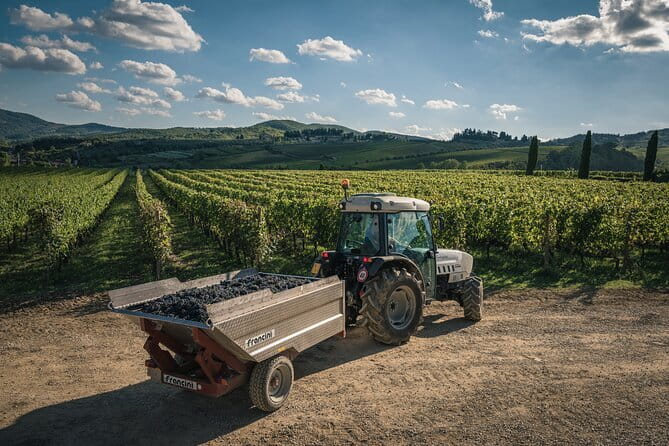 Wineries Tour and Wine Tastings in Chianti Hills from Florence - First Strada Statale 222 Chiantigiana tasting: salami, cheese, and a style primer