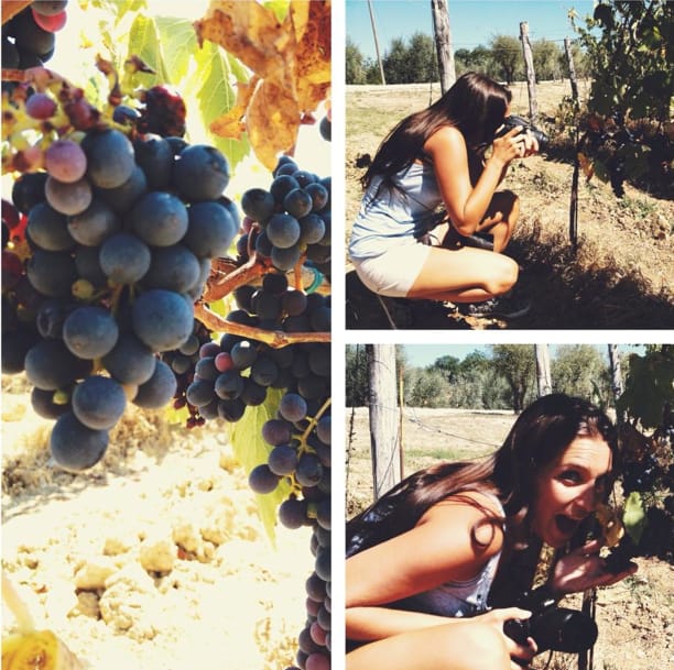 YOUR HONEYMOON IN TUSCANY: Private Chianti Wine Tasting Tour - A private, limo-paced honeymoon day from Florence