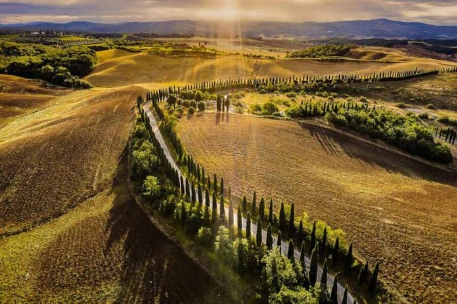 YOUR HONEYMOON IN TUSCANY: Private Chianti Wine Tasting Tour - Chianti medieval castle cellars, the second tasting you will remember